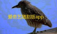 爱奇艺随刻版app